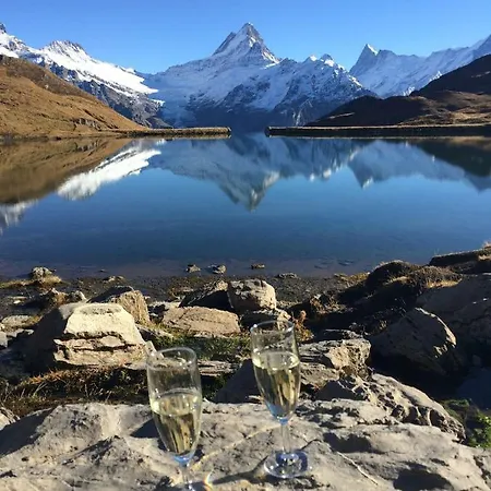 Verbrunnenhaus Appartamento Grindelwald