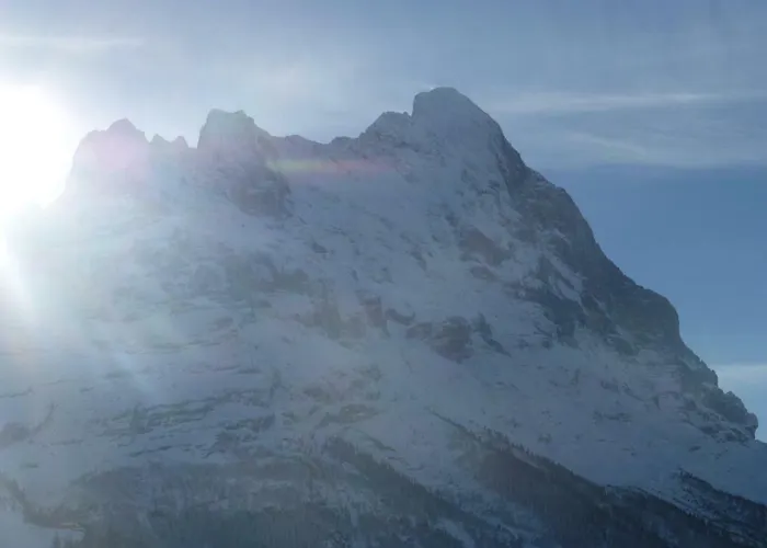 Verbrunnenhaus Apartment Grindelwald